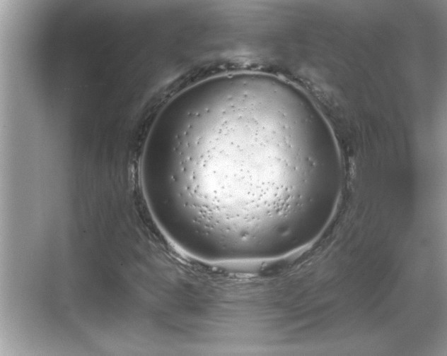 X0000069361302200605150906