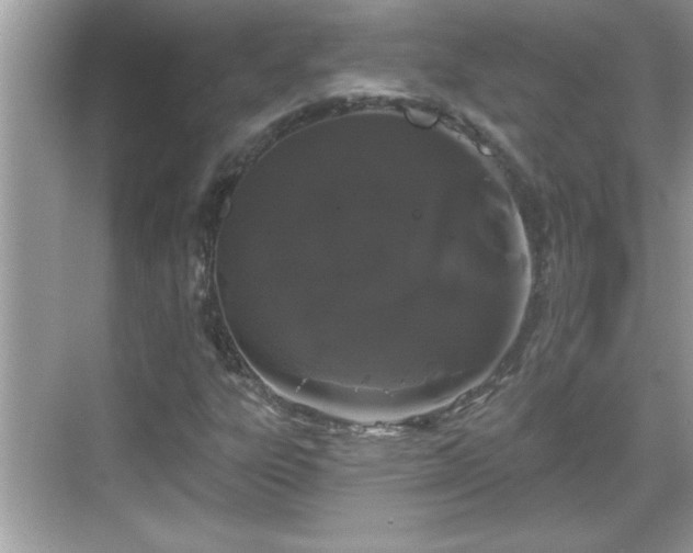 X0000069361303200605150906