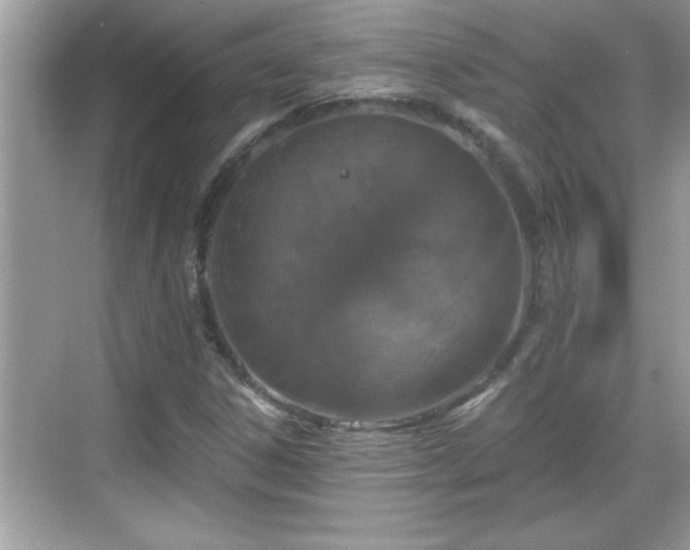 X0000069361306200605150906