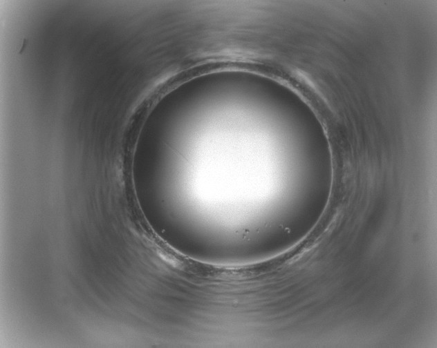 X0000069361307200605150906