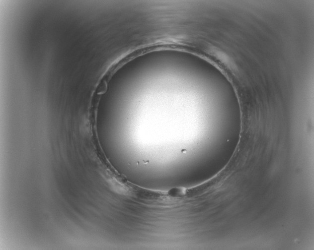 X0000069361308200605150906