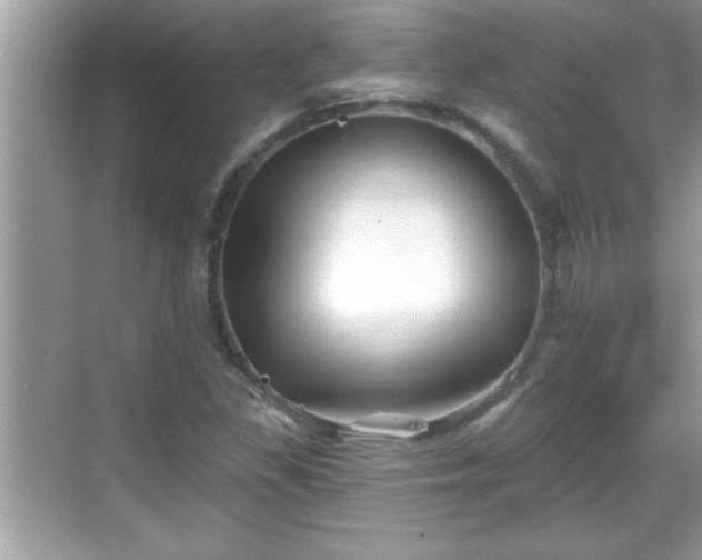 X0000069361309200605150906