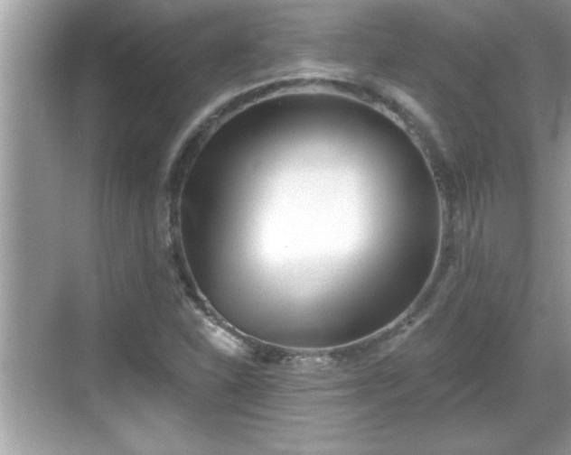 X0000069361310200605150906