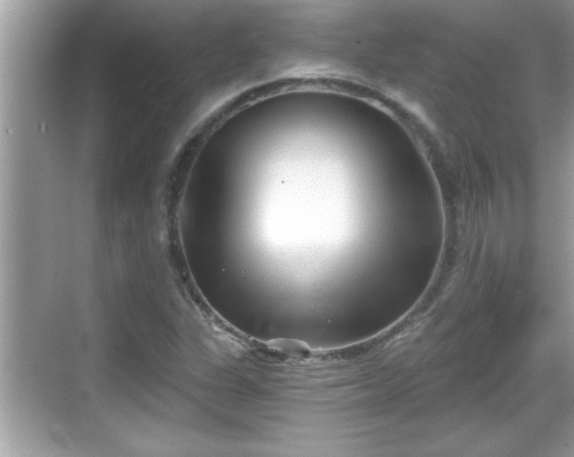 X0000069361311200605150906