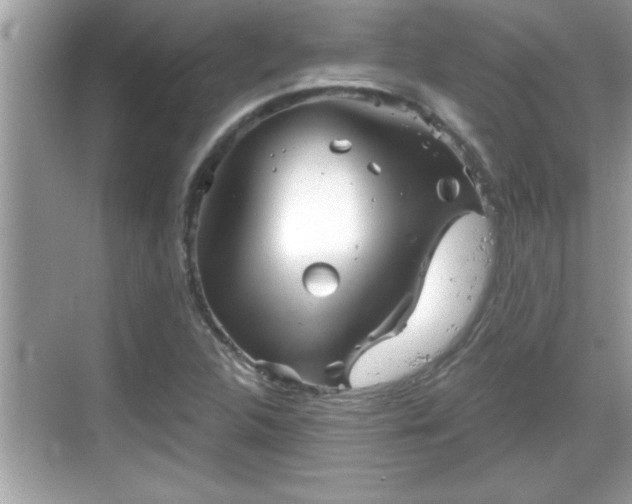 X0000069361312200605150906