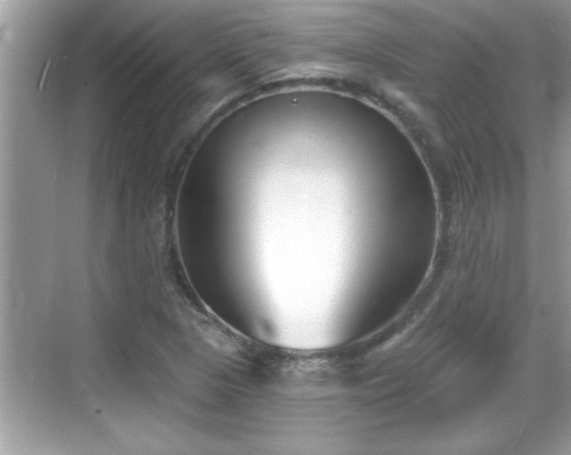 X0000069361313200605150906