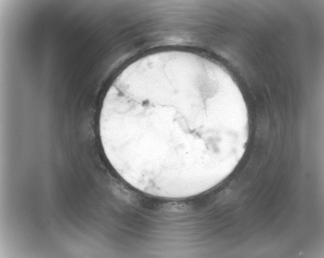 X0000069361314200605150906