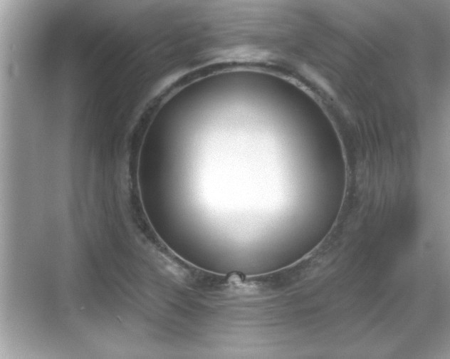 X0000069361315200605150906