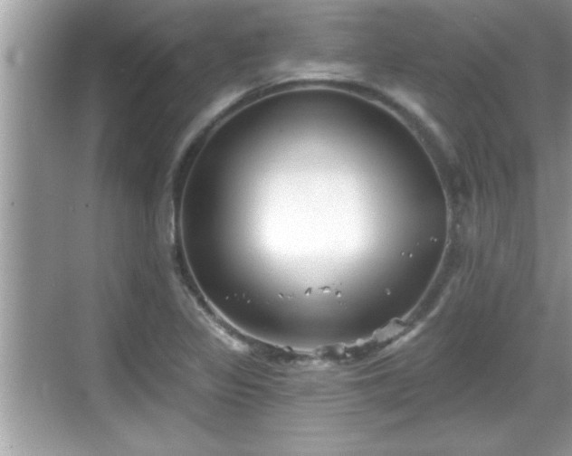 X0000069361317200605150906