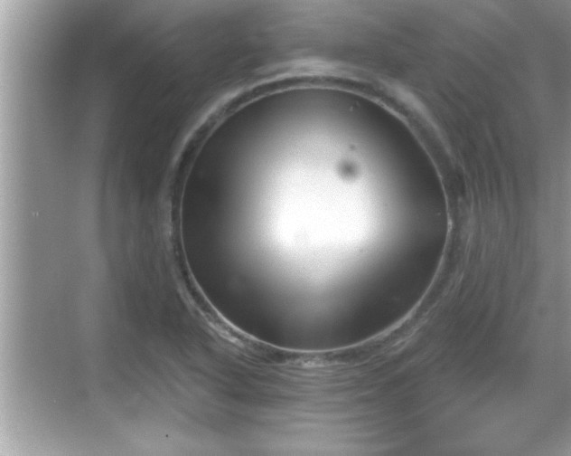 X0000069361318200605150906