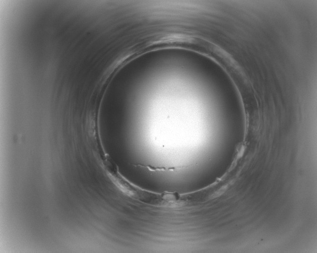 X0000069361321200605150906