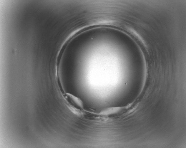 X0000069361324200605150906