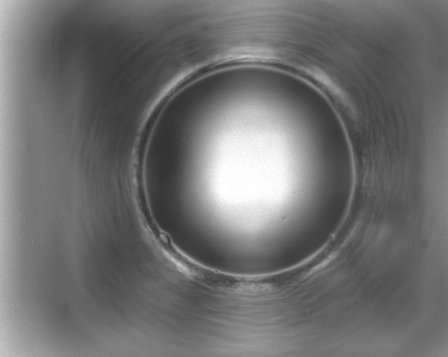 X0000069361325200605150906