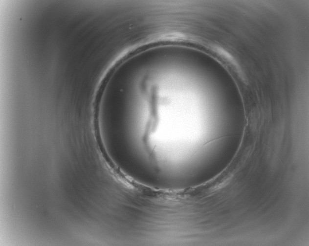 X0000069361326200605150906