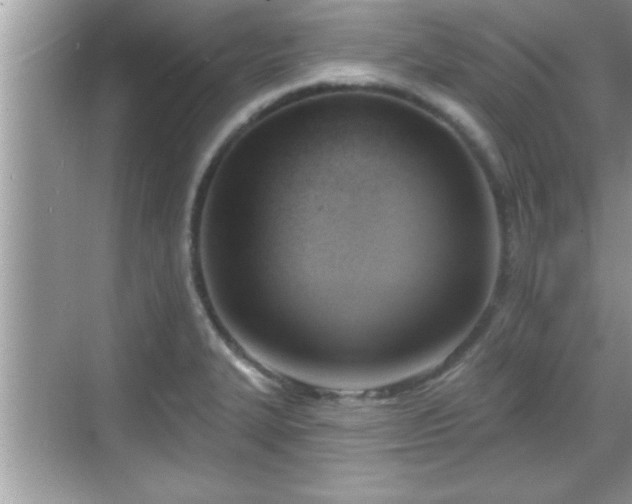 X0000069361327200605150906