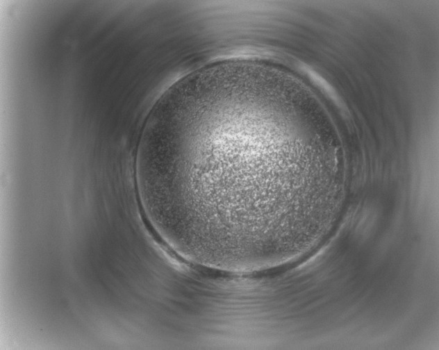 X0000069361329200605150906