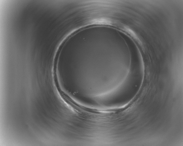 X0000069361331200605150906