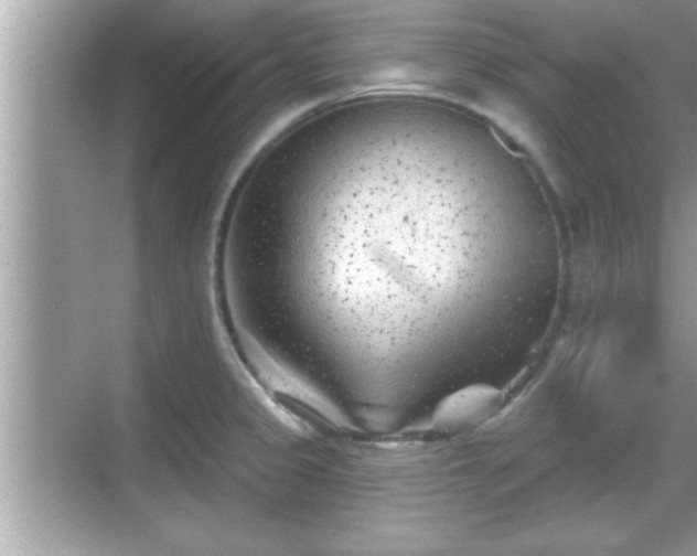 X0000069361333200605150906