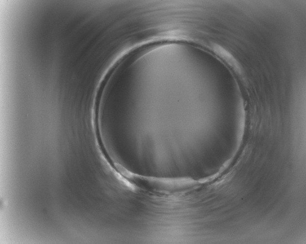 X0000069361334200605150906