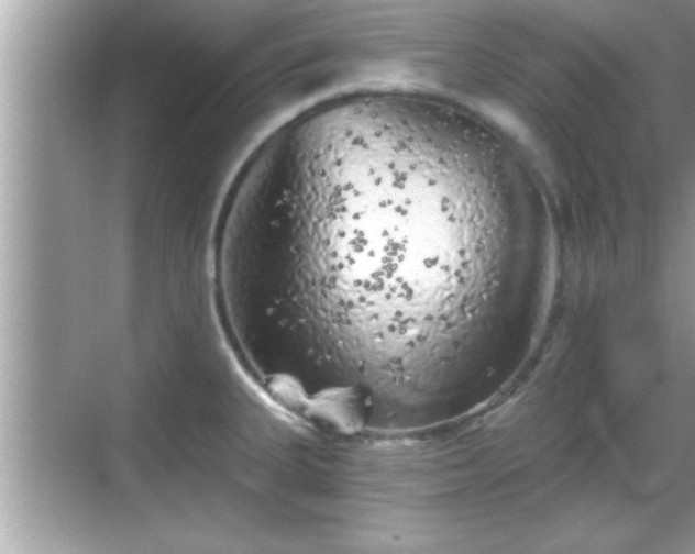 X0000069361335200605150906