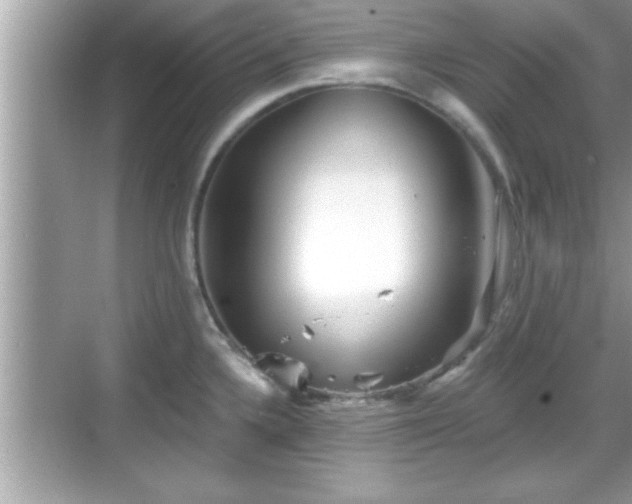 X0000069361336200605150906