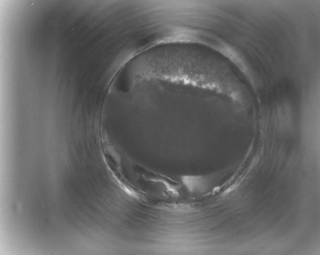 X0000069361337200605150906