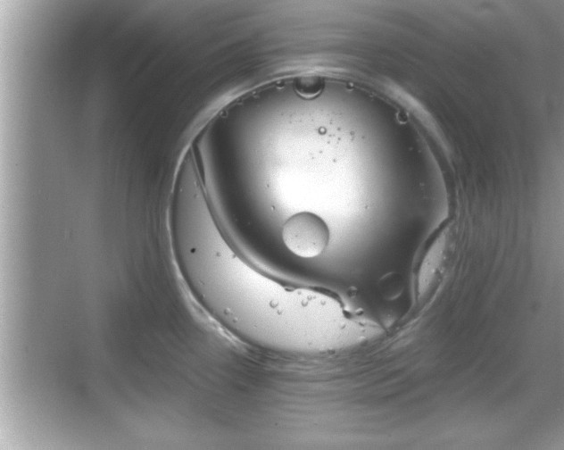 X0000069361338200605150906