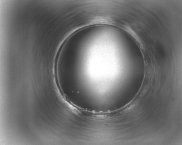 X0000069361339200605150906