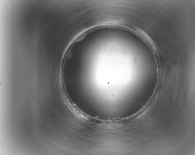 X0000069361340200605150906