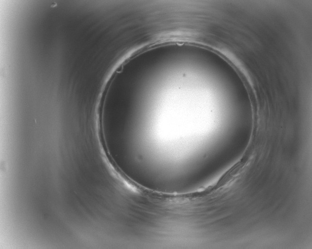 X0000069361341200605150906