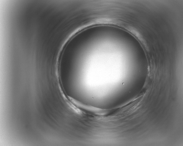 X0000069361342200605150907