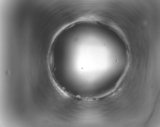 X0000069361344200605150907