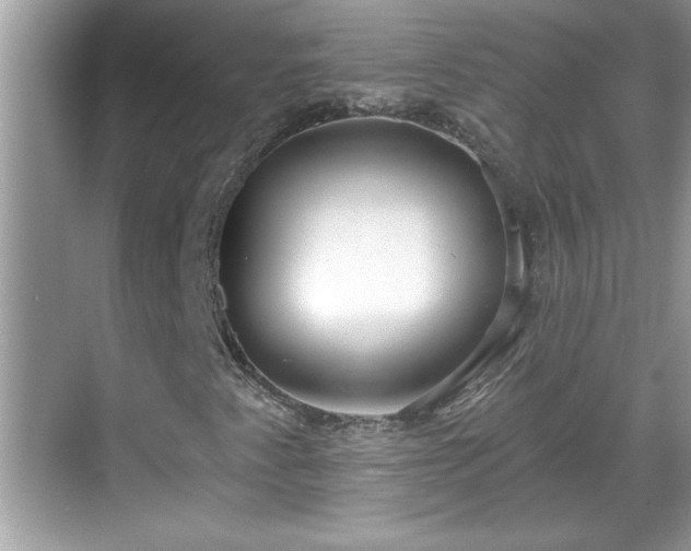 X0000069361345200605150906