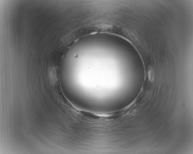 X0000069361347200605150906