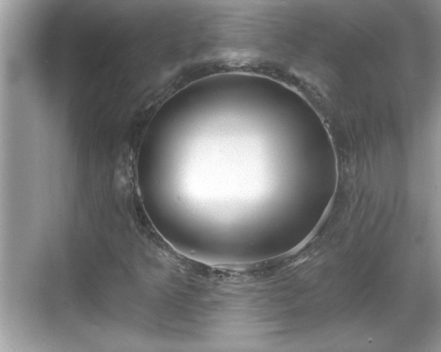 X0000069361349200605150906