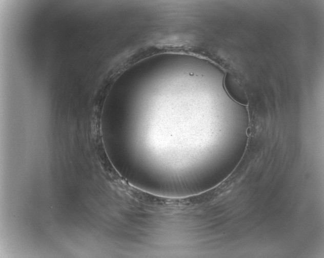 X0000069361350200605150906