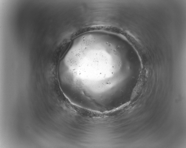 X0000069361351200605150906