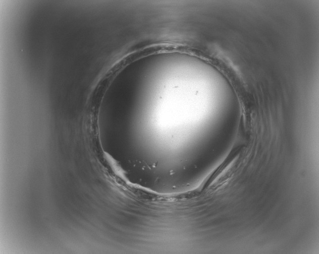 X0000069361352200605150906