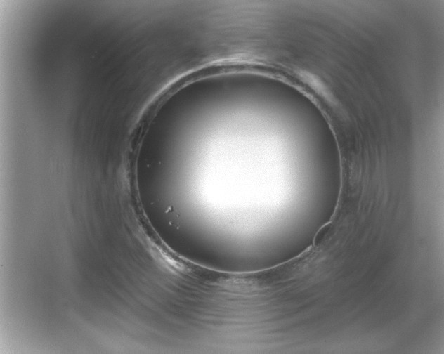 X0000069361356200605150906