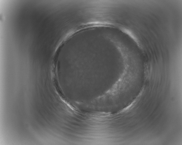 X0000069361357200605150906