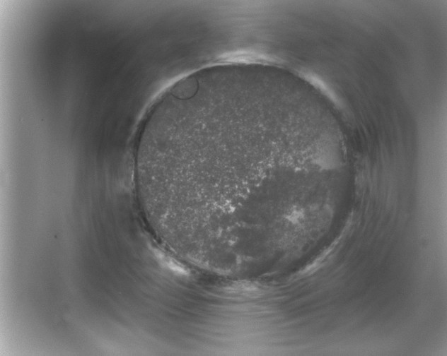 X0000069361358200605150906