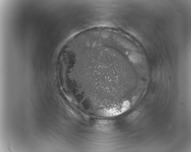 X0000069361359200605150905