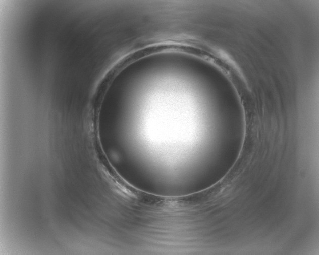 X0000069361360200605150905