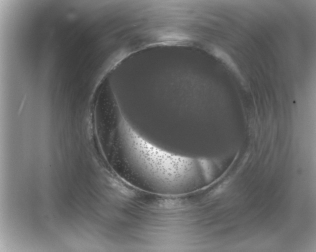 X0000069361362200605150905