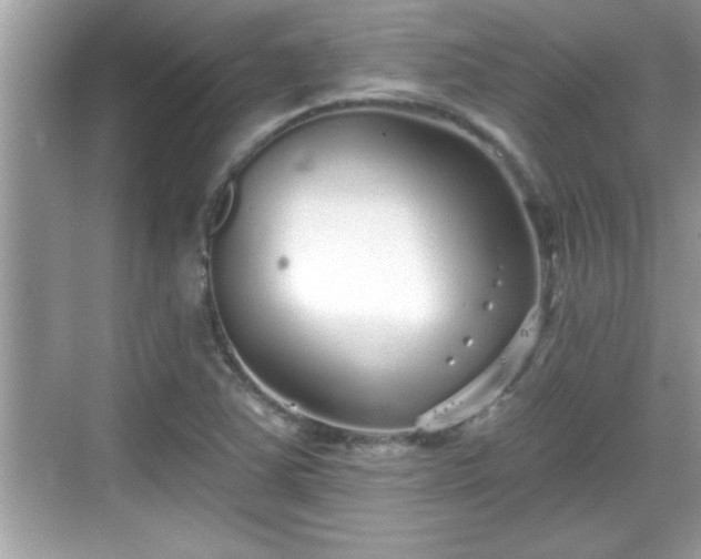 X0000069361363200605150905