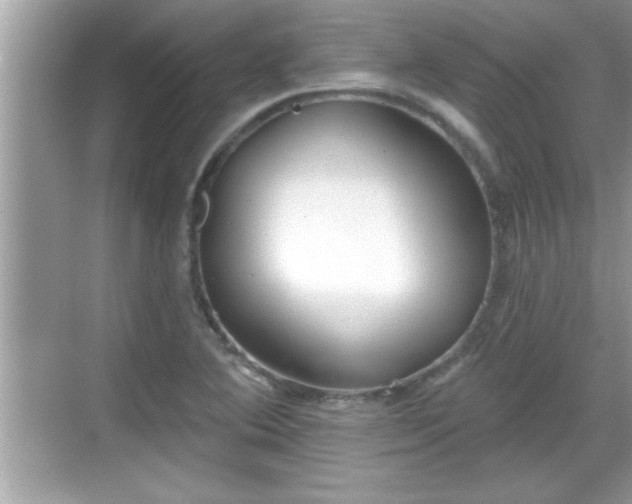 X0000069361364200605150905