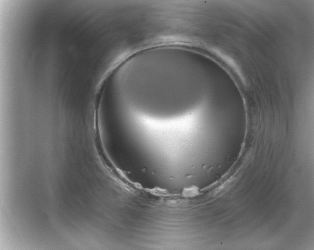 X0000069361365200605150905