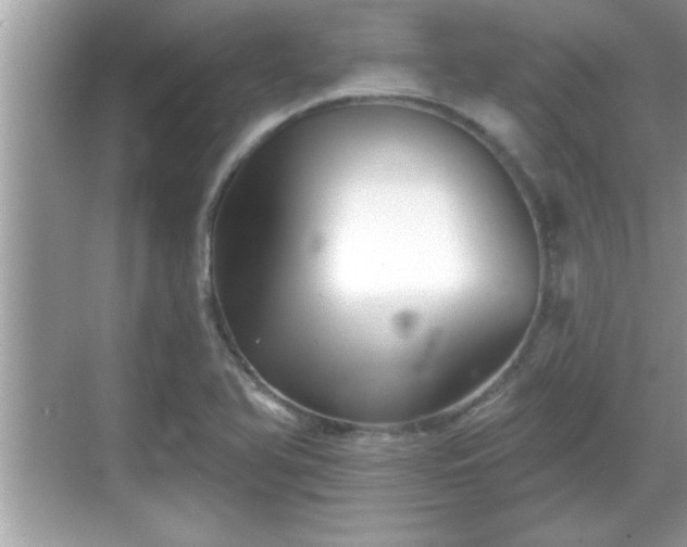 X0000069361366200605150905