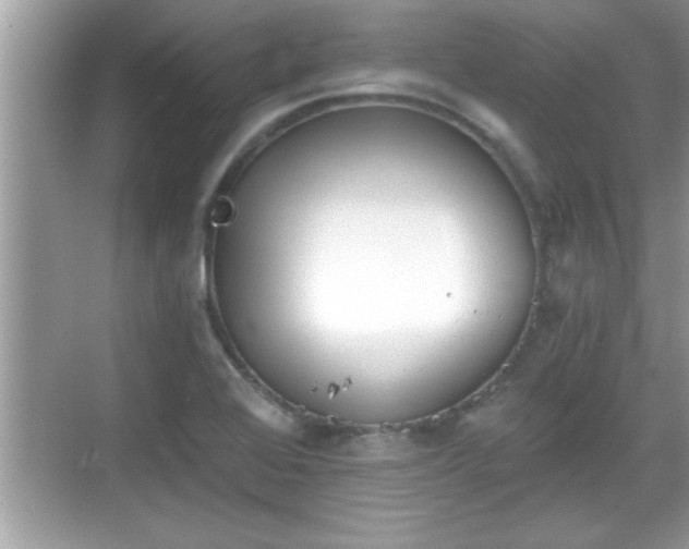 X0000069361368200605150905