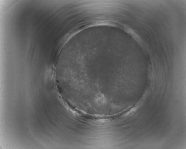 X0000069361369200605150905